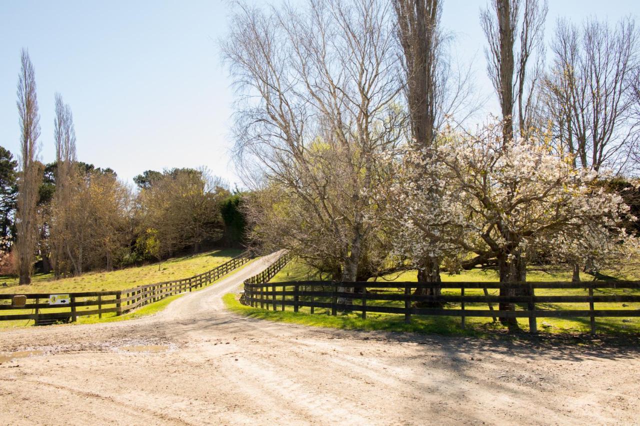 Shearvue Farmstay With Optional Free Farm Experience At 5Pm Fairlie Exterior foto